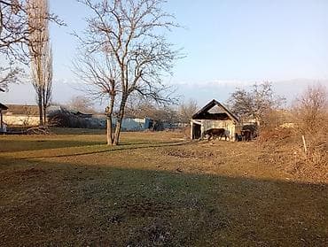 nabran ev kiraye: 20 sot, Tikinti, Barter mümkündür, Kupça (Çıxarış) — 8