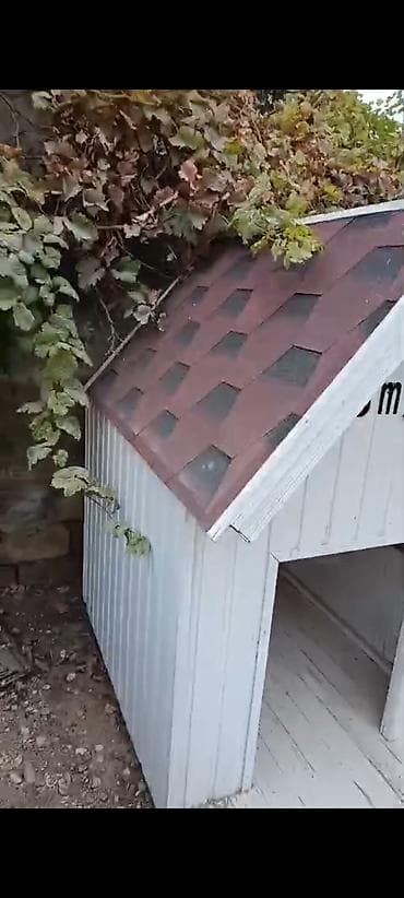 it zəncir: Ağ taxta konstruksiyalı it evi - Material: taxta karkas, ağ rəngdə — 2