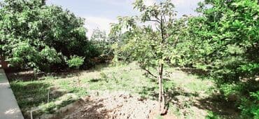 ev certiyojları: 6 otaqlı, 530 kv. m, Yeni təmirli — 11