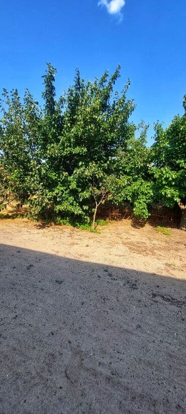 qresdə həyət evləri: Fatmayı 3 otaqlı, 120 kv. m, Kredit yoxdur, Yeni təmirli — 24