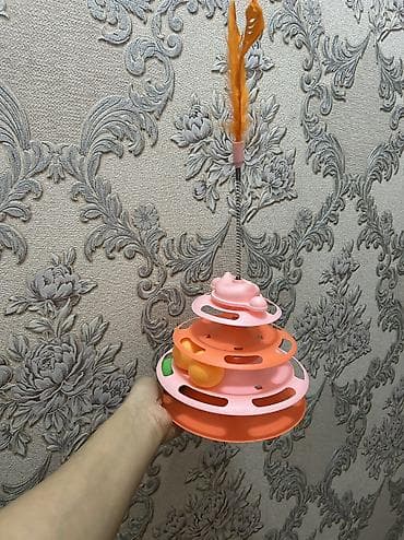 Geyimlər: Ev heyvanları üçün aksesuar və oyuncaqlar dəsti - Tənzimlənən — 5