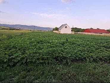 Bakı, 100 kv. m, 2 otaqlı, Hovuzsuz, İşıq