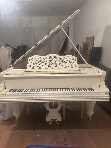 CD, DVD disklər və kassetlər: Royal — 4