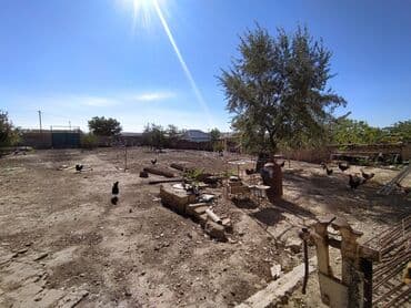 şıxovda torpaq sahəsi: 6 sot, Kənd təsərrüfatı, Kupça (Çıxarış) — 14