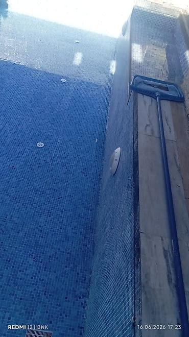 tulpan gulleri: 🏊‍♂️ HOVUZ TƏMİZLİK XİDMƏTİ 🏊‍♀️ Hovuzunuz yaşıllaşıb və ya — 4