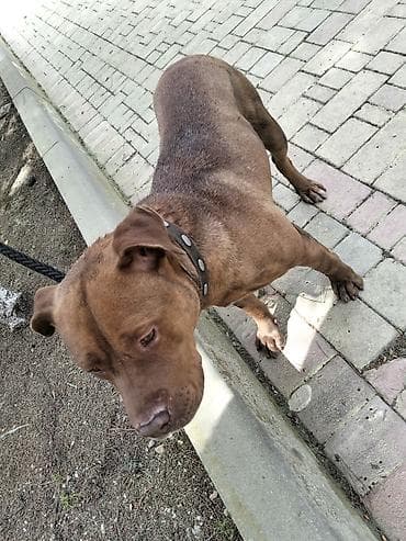 𝘈𝘺𝘢𝘲𝘭𝘢 𝘮𝘰̈𝘩𝘬ə𝘮 𝘴𝘪𝘮𝘦𝘵𝘪𝘥𝘪𝘬𝘥𝘪𝘳. 𝘪𝘵𝘪𝘯 𝘩𝘦𝘤̧ 𝘣𝘪𝘳 𝘬𝘢 𝘱𝘳𝘪𝘻𝘪 𝘰𝘭𝘢 𝘣𝘪𝘭𝘮ə𝘻