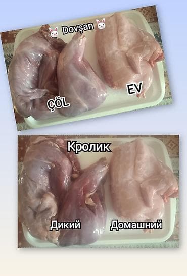 donuz eti satisi: Məhsul: Dovşan əti – Çöl və Ev Təsvir: - Təbii qidalanmış — 1