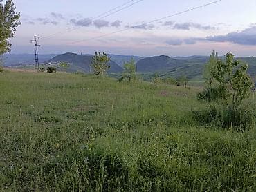 bag evi: 200 kv. m, 4 otaqlı — 6