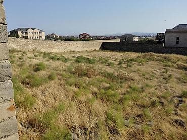 20 ci sahe: 20 sot, Mülkiyyətçi, Kupça (Çıxarış) — 2