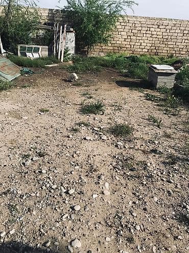 yardımlı: 4 sot, Tikinti, Barter mümkündür, Bələdiyyə — 2