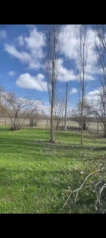 1 sot nece metrdir: 20 sot, Tikinti, Mülkiyyətçi, Kupça (Çıxarış) — 4