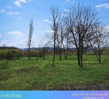 12 sot, Tikinti, Mülkiyyətçi, Kupça (Çıxarış)