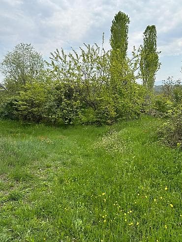 sabuncu torpaq: 32 sot, Tikinti, Mülkiyyətçi, Kupça (Çıxarış) — 6