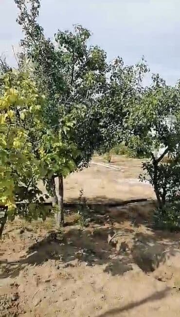 köroğlu: Mərdəkan 3 otaqlı, 100 kv. m, Orta təmir — 2