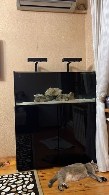 Ekstra klear shisheden hazirlanmish arxa sampli 1 metrin 40x40 a