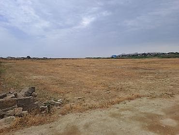 58 соток, Риэлтор, Купчая — 2
