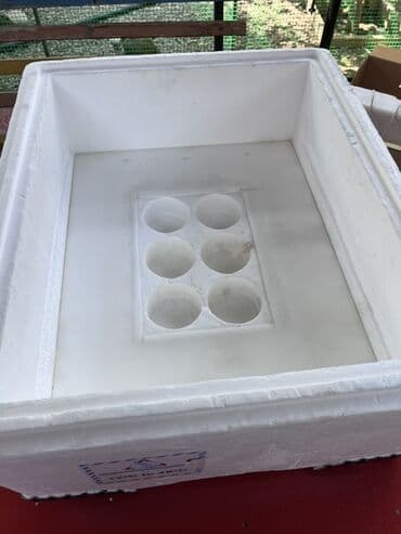 капсульная кофемашина баку: Salam, 63 ədəd yumurtalıq inqubator. Polnu avtomatdır. Yumurtanı özü — 8