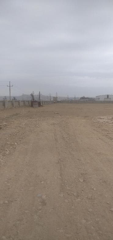 bulbulede torpaq: 85 sot, Biznes üçün, Maklerlər narahat etməsin, Kupça (Çıxarış) — 3