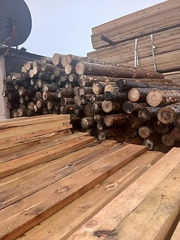 pip agaci: Məhsul: Şam ağacından yumru dirəklər və taxta materialları Təsvir: - — 3