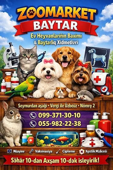 Heyvanlar: ZOOMARKET – Ev heyvanlarının baxımı, qrominq və baytarlıq xidmətləri — 2