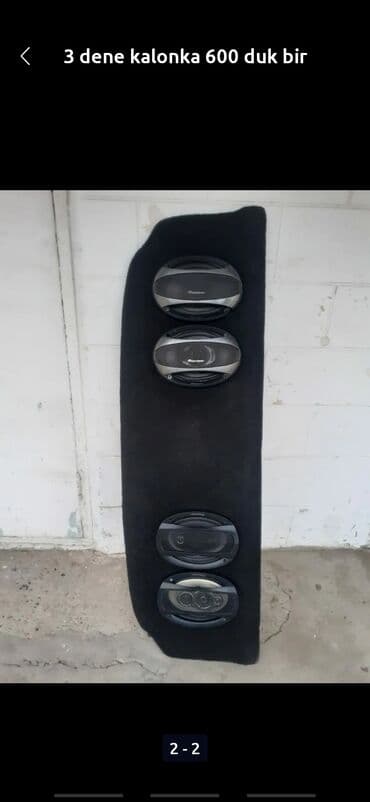 arxa monitor: Dinamiklər və sabvuferlər, Pioneer, Karbon, Ünvandan götürmə — 2