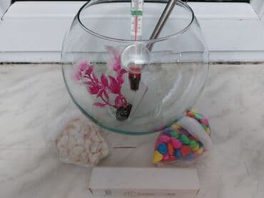 akvaryum balıkları: 2lt akvarium+termometr su üçün+rengli daş+ağ daş+baliği tutmaq ücün — 2