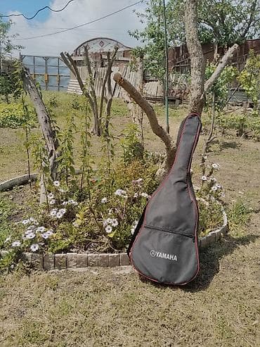 Klassik gitara, Yamaha, İşlənmiş — 4