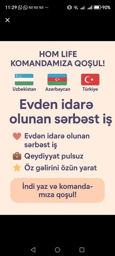 Evdən idarə olunan onlayn iş