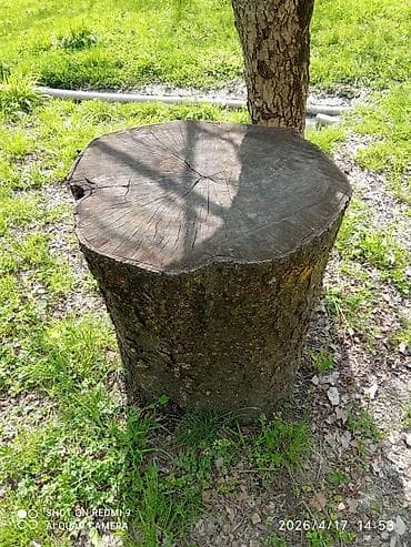 Ət kötüyü Eni(diametri) 50sm,Hunduru 60sm