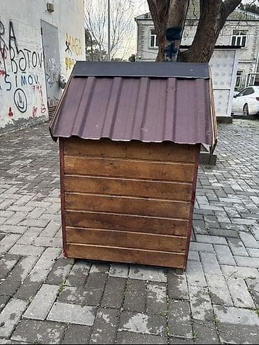 korum: Taxta it evi / bala daxması - Material: qalın taxta lövhələr, daxili — 4