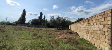 земля в аренду под строительство: Tikinti, Mülkiyyətçi, Kupça (Çıxarış) — 3