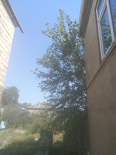 binədə torpağ: Tikinti — 2