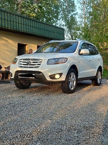 ekskavatorlarin satisi: HYUNDAİ SANTAFE, SEPLİ MÜHƏRRİK, LYUK, KONDİSİONER, MERCEDES — 8