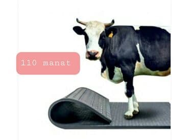 pisik ucun bit dermani: Mal rezini 
Turkiyə istehsalı 
Yeni — 6