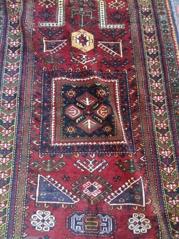 продажа комнатных растений: Ковер — 1