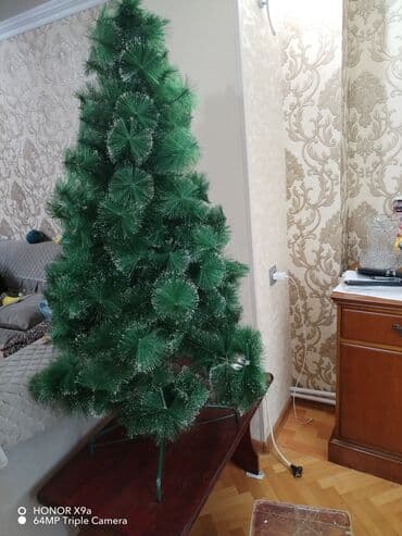 Yolka lalafo.az -da Yolka