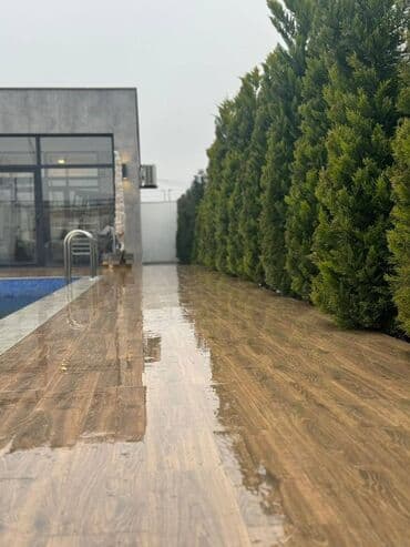 200 kv. m, 5 otaqlı, Qaz, İşıq, İnternet