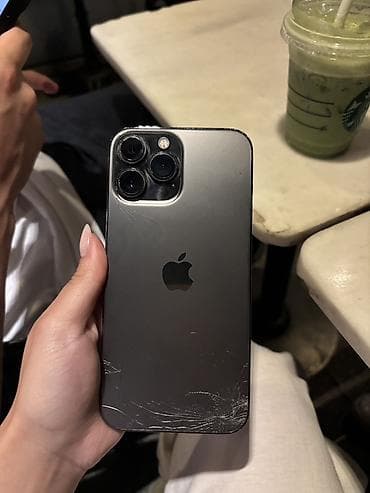 IPhone 13 Pro Max, Graphite