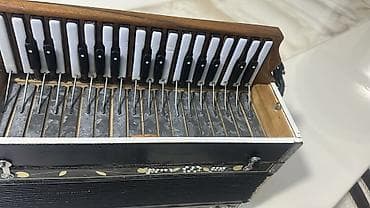 akkardeon: Akustik Akkordeon — 3