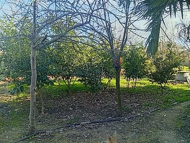 купить дом в кубе: 3 комнаты, 6 м², Нет кредита, Средний ремонт — 9