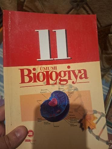 Велоаксессуары: Биология 8 класс — 1