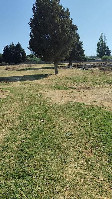 Torpaq: 10000 sot, Tikinti, Mülkiyyətçi, Kupça (Çıxarış) — 1