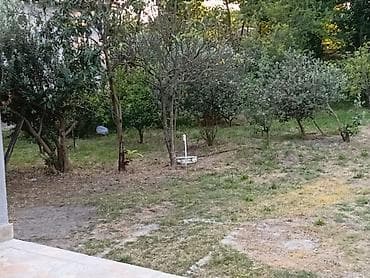100 kv. m, 3 otaqlı