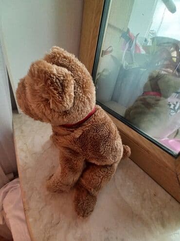 игрушки: Хорошие мягкие игрушки — 2