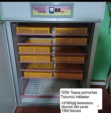 Сельско-хозяйственное оборудование: 1100 яиц — 2