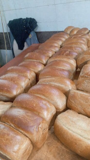 Süd məhsulları və yumurtalar: Məhsul: Təndir və sobalarda bişirilmiş çörək və bulka çeşidləri — 5
