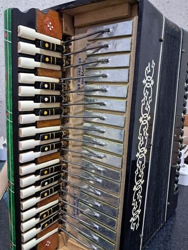 1 cent neçə manatdır: Akustik Akkordeon — 3