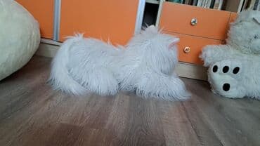 bəzəkli rəqəmlər: Yumuşaq oyuncaqlar Otaqda həm bəzək kimi, həm də sarılıb rahatlanmaq — 4