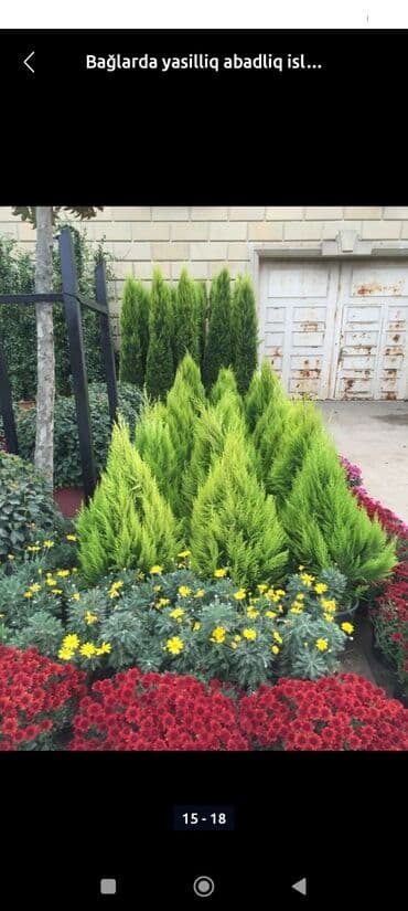 kafel metlax ustası: Qazon çatrlma qurasdrma torf gubresi agaclarin satişi gul cicek torpaq — 12