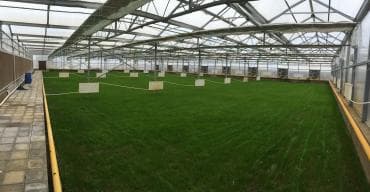 turkanda ev: Bakı, Türkan qəs., 1500 kv. m, 7 otaqlı, Hovuzlu, Qaz, İşıq, Su — 6